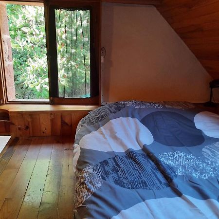 Grange Renovee En Pleine Nature Valady Zewnętrze zdjęcie