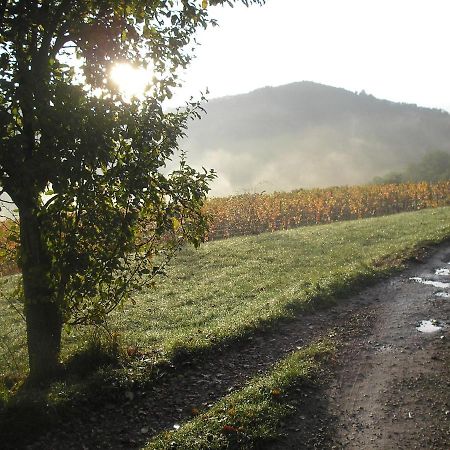 Grange Renovee En Pleine Nature Valady Zewnętrze zdjęcie