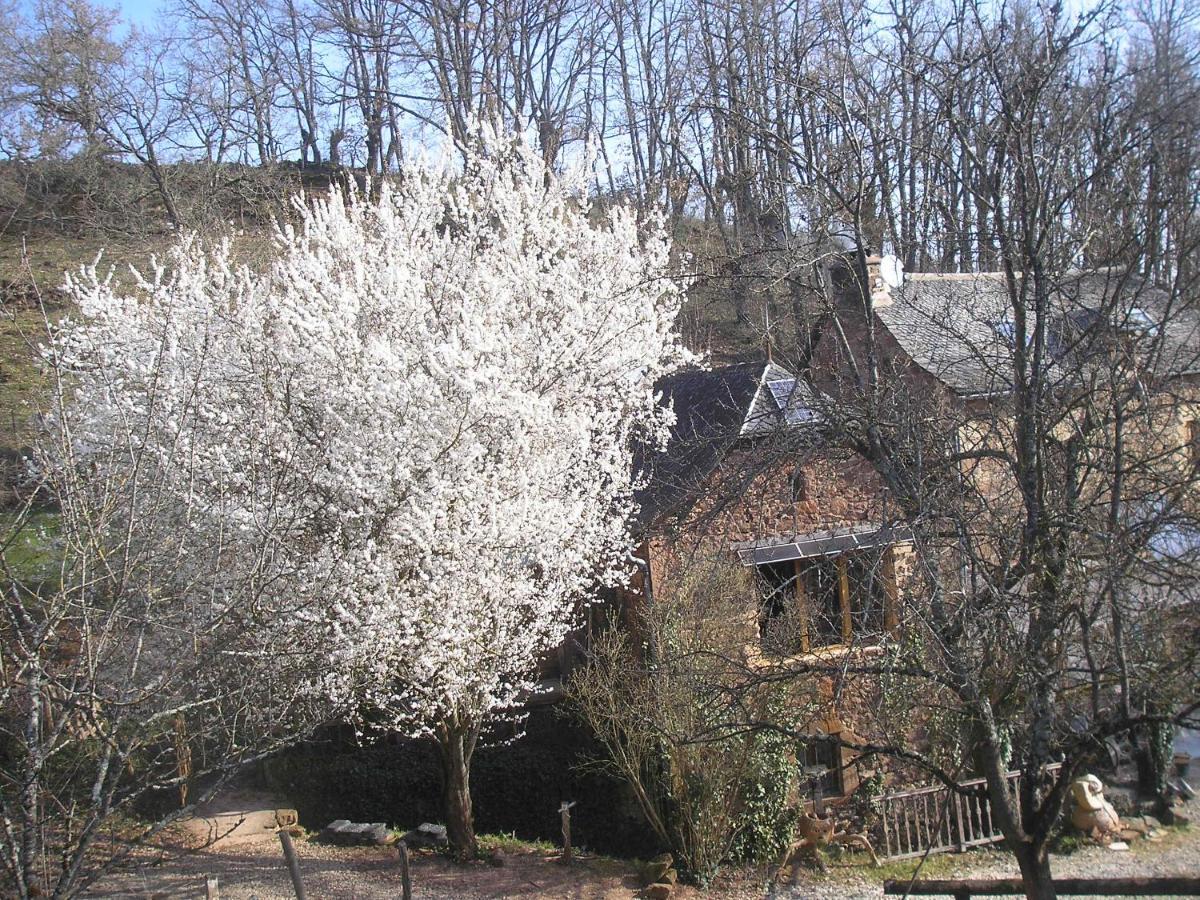 Grange Renovee En Pleine Nature Valady Zewnętrze zdjęcie