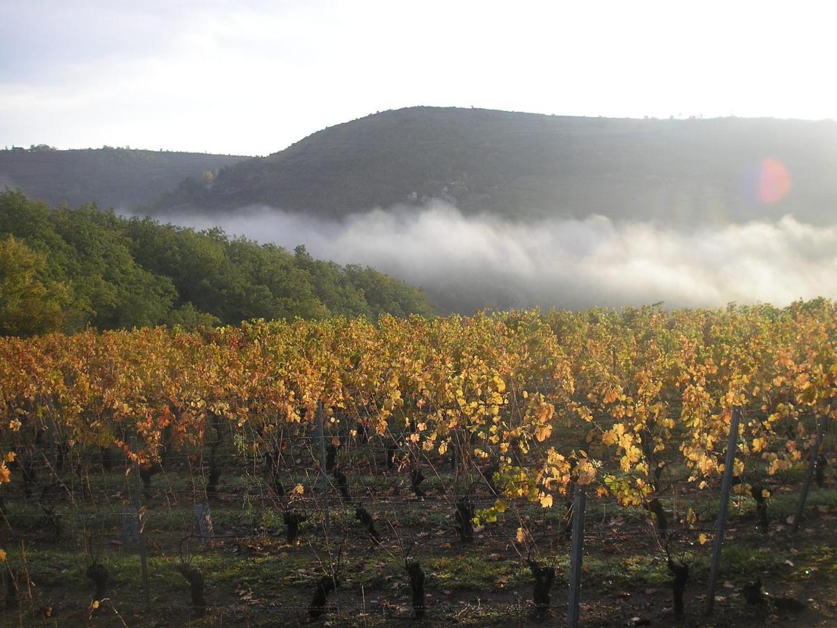 Grange Renovee En Pleine Nature Valady Zewnętrze zdjęcie