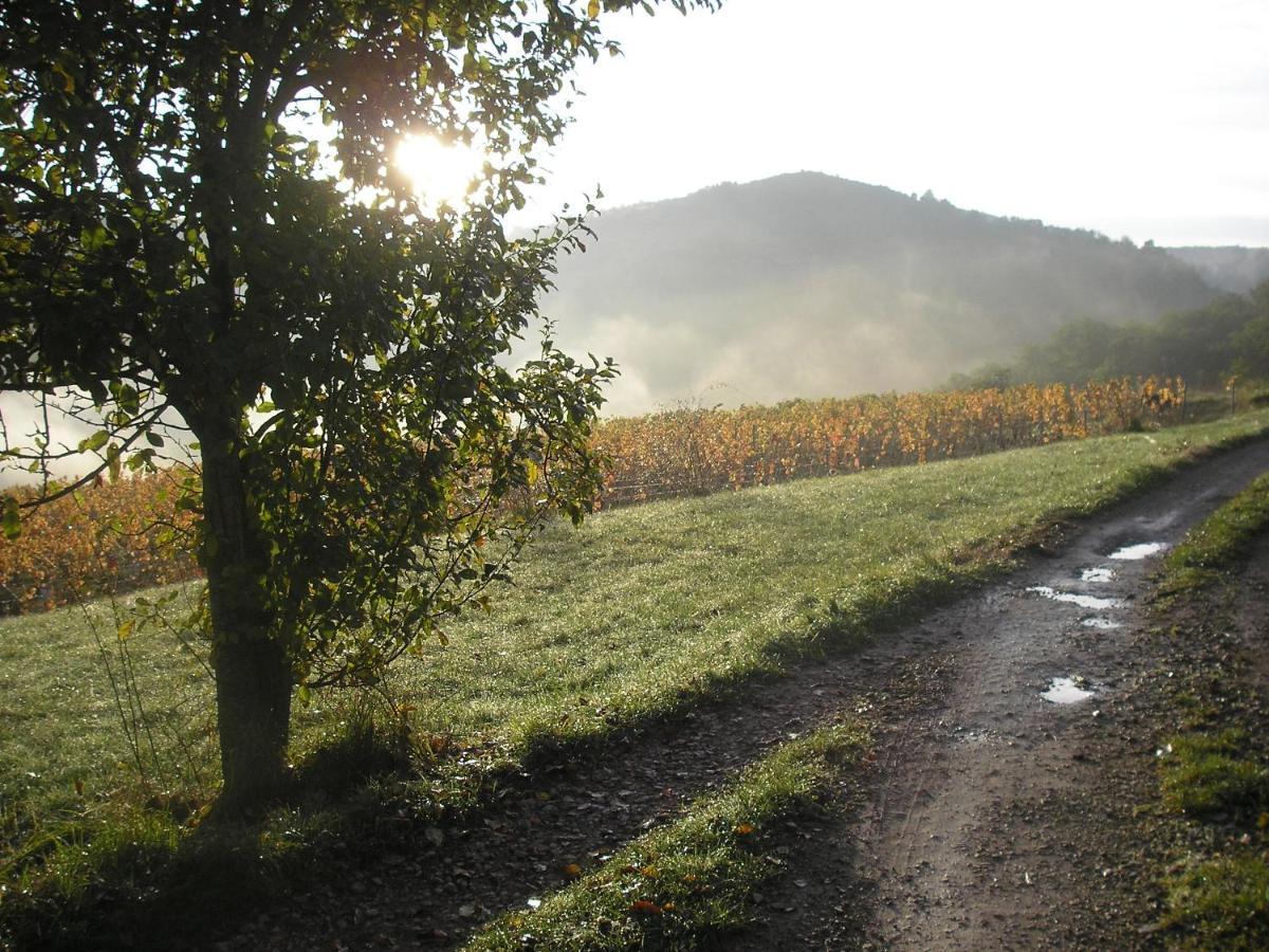 Grange Renovee En Pleine Nature Valady Zewnętrze zdjęcie